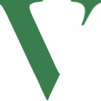 V Logo1